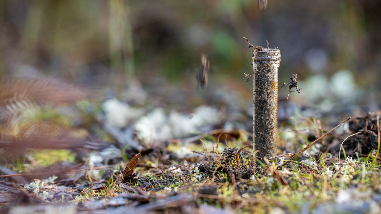 The soil samples in the test tubes exhibit varying shades of brown and gray, with visible granules and organic material suspended in clear liquid.
