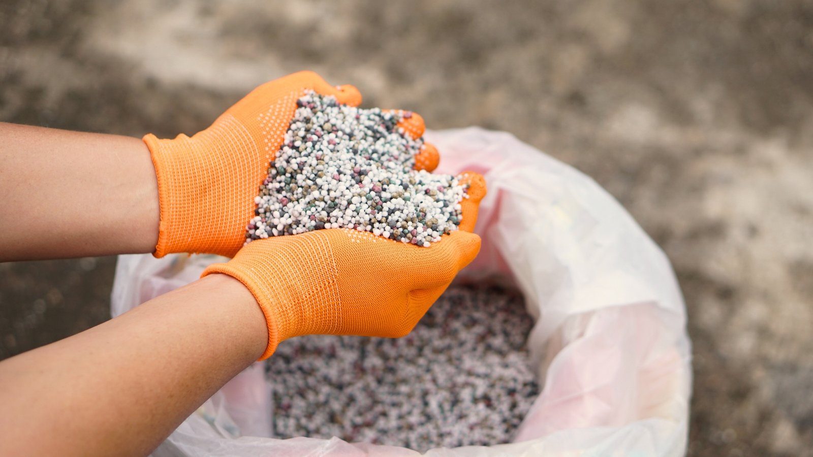 Close-up of female hands in orange gloves holding a handful of mixed multi-colored granular fertilizers over a white bag.