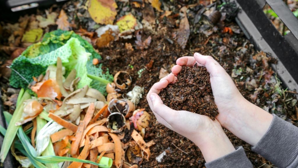 How Sizzling Ought to My Compost Pile Be?