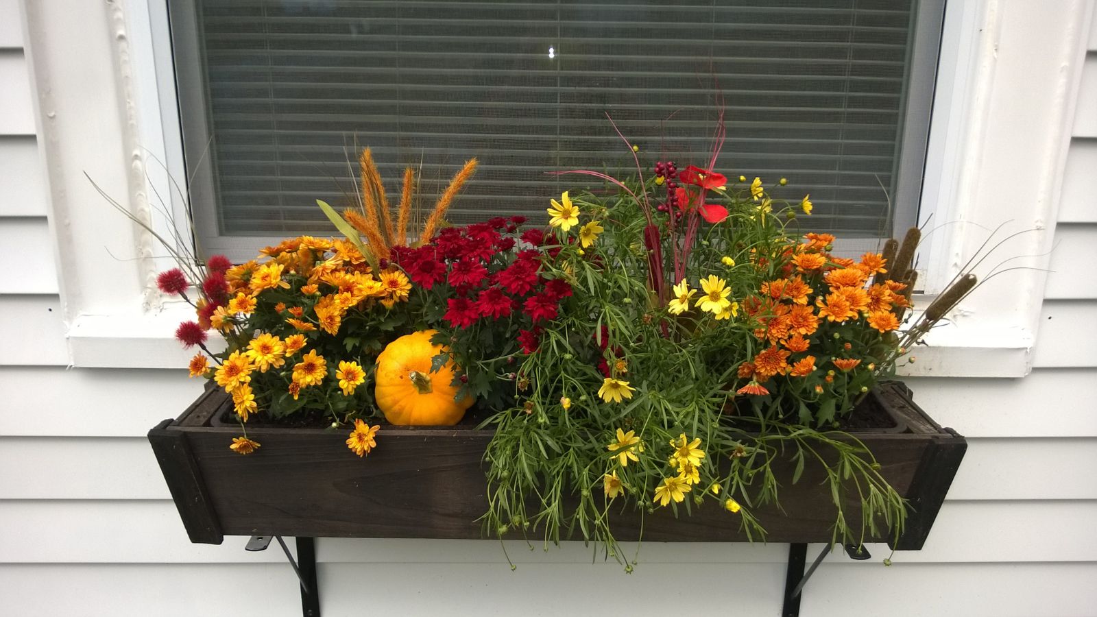 Tips on how to Plant The Excellent Fall Container Backyard