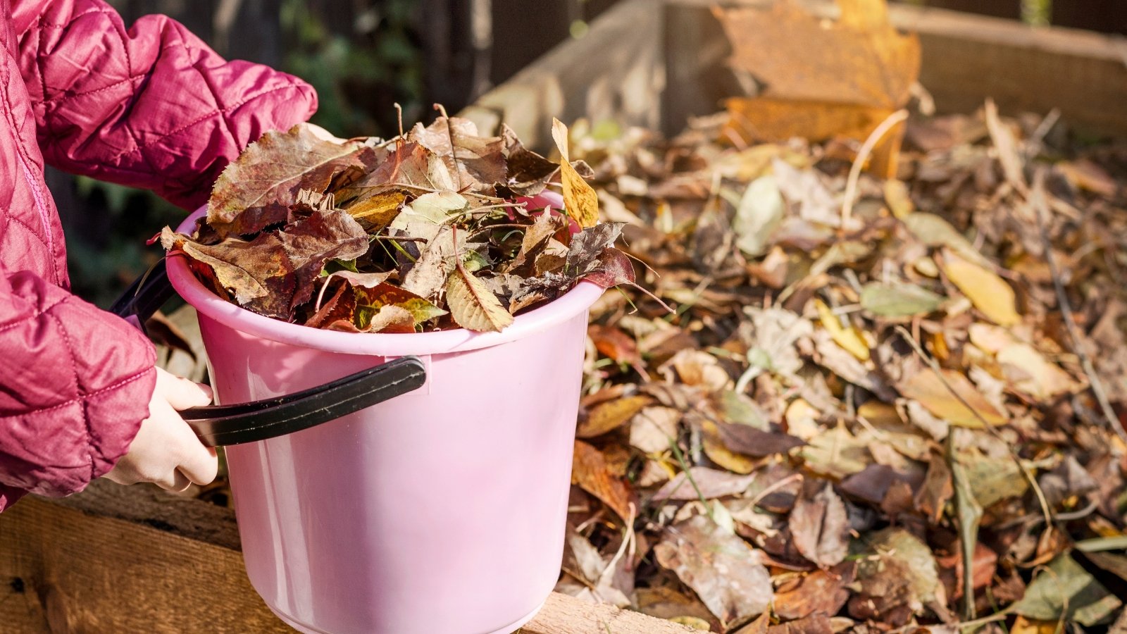 A pair of gloved hands are placing brown, orange, and yellow foliage into a pastel pink bucket beside a wooden fence in a well-maintained yard.