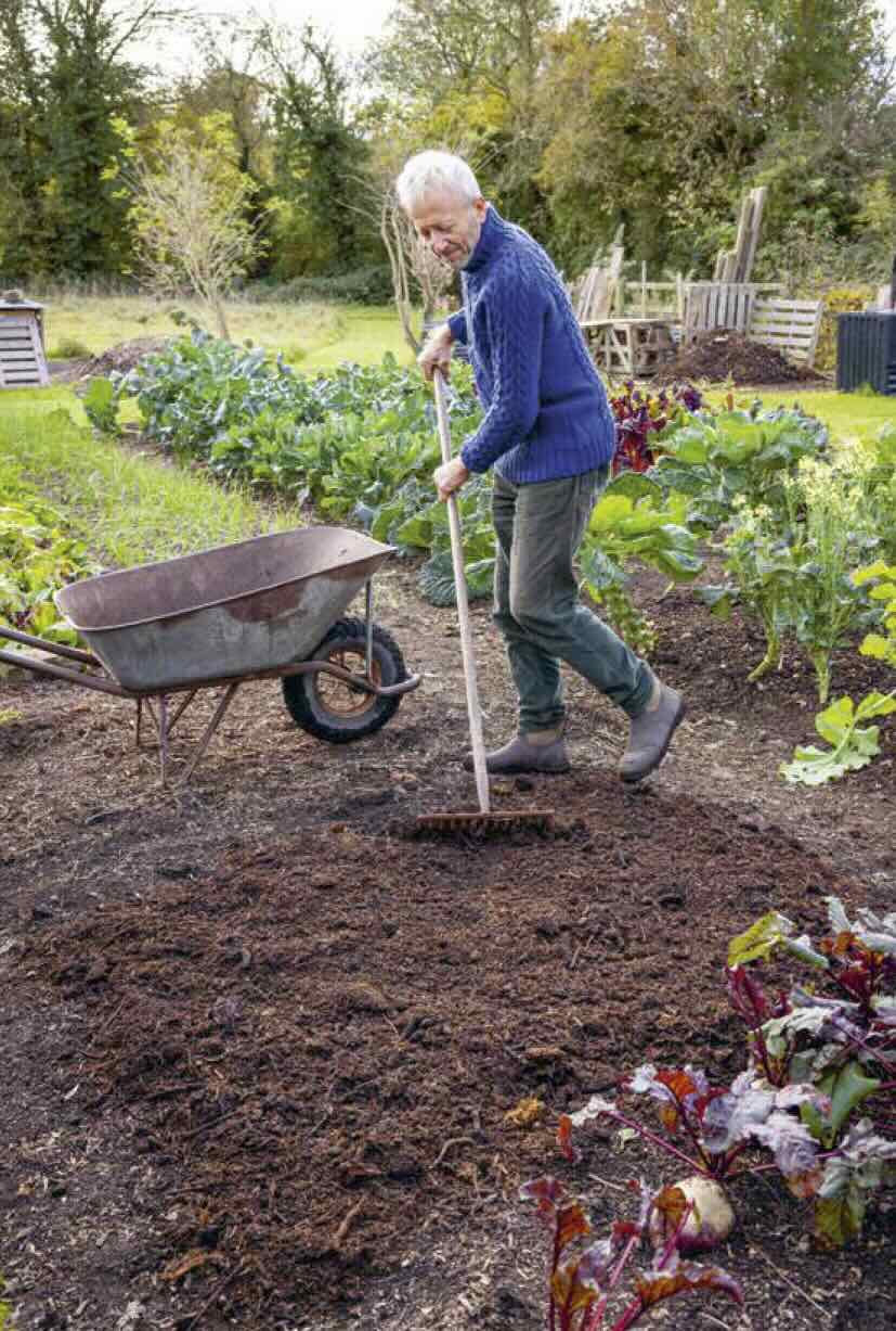 a lot much less work, extra wholesome soil: no-dig gardening, with charles dowding