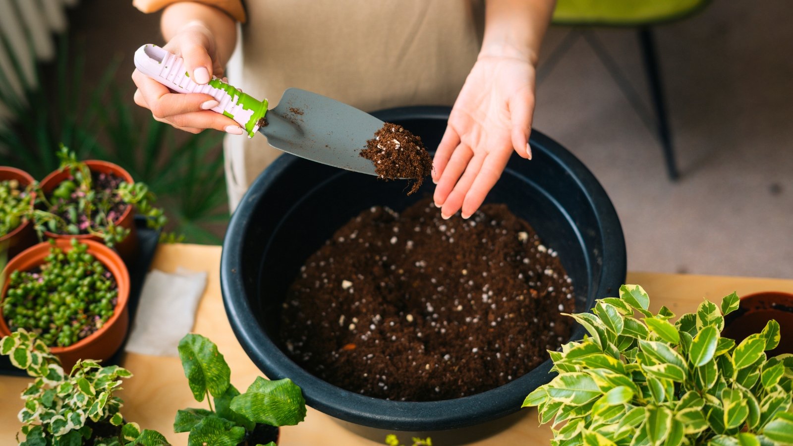 A woman wearing a beige apron uses a shovel to prepare loose, dark brown soil in a black plastic bucket on a table surrounded by various houseplants.
