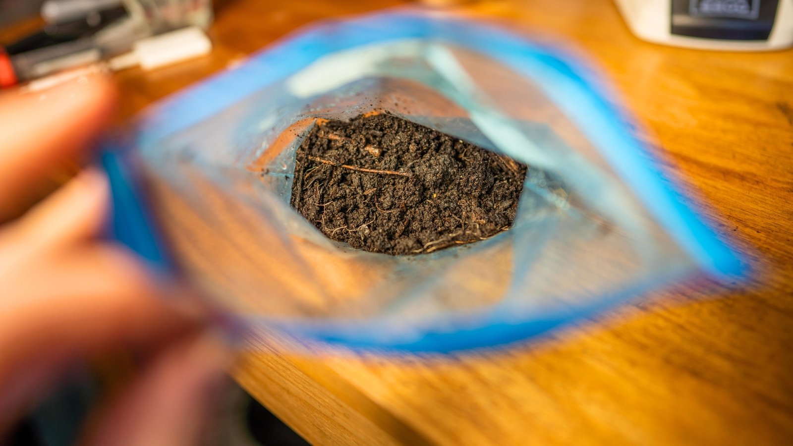 Close up of a Ziplock Bag filled with soil for sowing seeds.