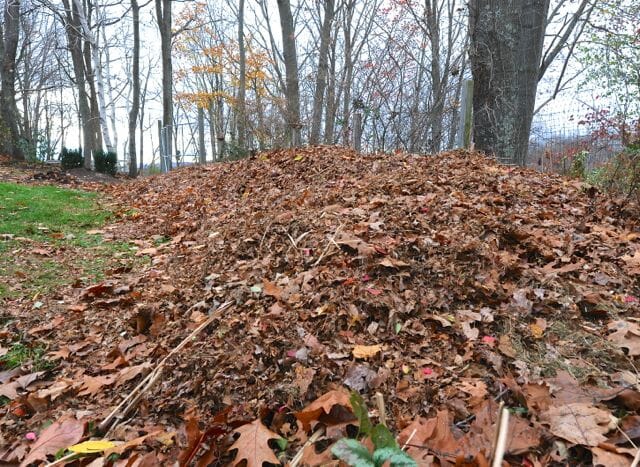 inform the truth: did you flip your compost?