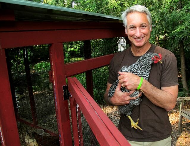 a raised-bed yard survives ‘killer compost’