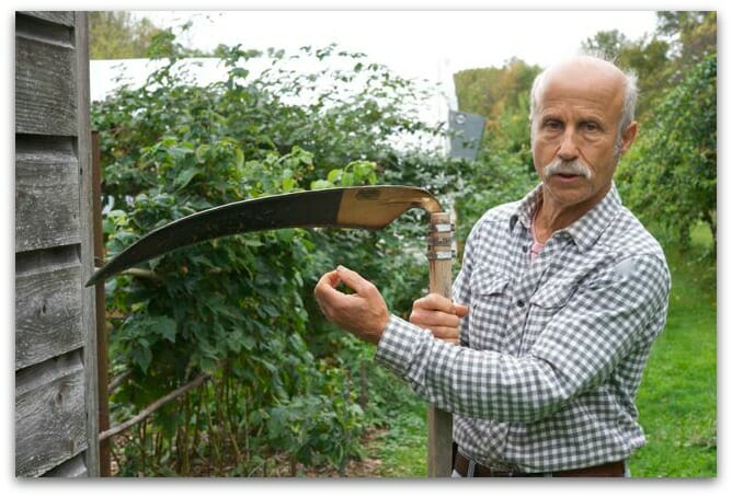 Lee Reich at his New Paltz "farmden" with his scythe