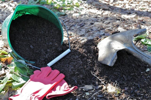 2014 pledge: further mulch, no spray (impressed by ruth stout)